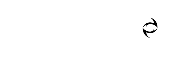 DREAMPLAY MANAGEMENT SERVICES